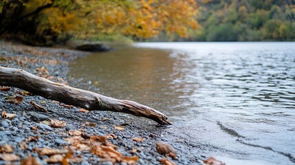 Poster - Serene lake view with autumn leaves and a fallen log by the shoreline : Generative AI