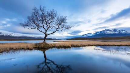 Aufkleber - Serene landscape with a lone tree and mountain reflections in a calm lake under a dreamy sky : Generative AI