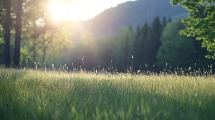 Poster - Golden sun beams shining over lush green grass and trees at sunrise in a peaceful natural landscape : Generative AI