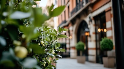Aufkleber - Beautiful Green Shrubbery and Architectural Background in Urban Setting : Generative AI