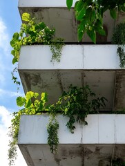 Poster - Modern concrete balconies adorned with vibrant green plants creating a stunning urban nature space : Generative AI