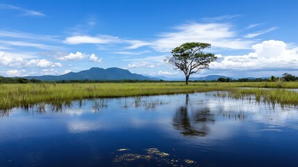 Poster - Isolated Green Tree on a Calm Lake with Clear Blue Sky and Lush Landscape Surrounding It : Generative AI