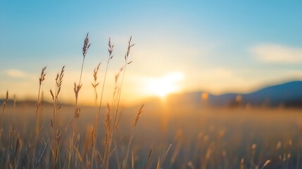 Poster - Golden Hour Glow Over Gentle Grasslands with Silhouetted Mountains in the Distance : Generative AI