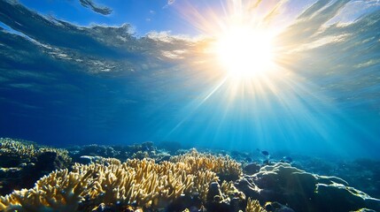 Poster - Vivid underwater coral reef illuminated by the bright sun shining through the water surface : Generative AI