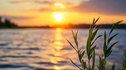 Poster - Tranquil Sunset Reflection Over Calm Waters with Fresh Green Plants Along the Shoreline : Generative AI