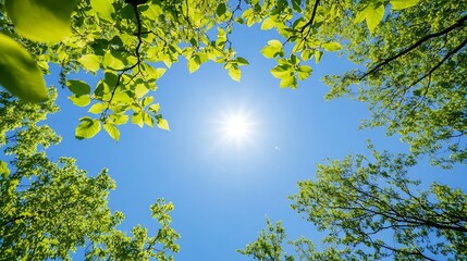 Poster - Serene view of sun shining brightly through lush green leaves in a clear blue sky : Generative AI