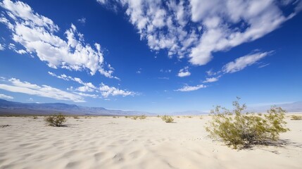 Aufkleber - Expansive Desert Landscape Under a Blue Sky with Wispy Clouds and Sparse Vegetation : Generative AI