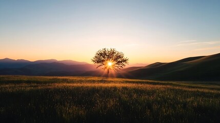 Wall Mural - Stunning sunset view over rolling hills with a solitary tree creating a breathtaking natural landscape : Generative AI