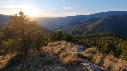 Poster - Golden hour view of rolling hills and pine trees with warm sun rays illuminating the landscape : Generative AI