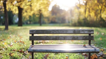 Aufkleber - Empty bench illuminated by soft sunlight surrounded by falling leaves in a peaceful park setting : Generative AI