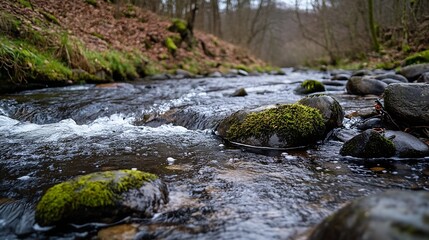 Poster - Serene Freshwater Stream Flowing Over Mossy Rocks in a Tranquil Forest Setting : Generative AI