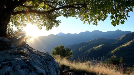 Poster - Shining sun peeking through lush green trees and mountains : Generative AI