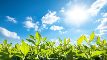 Fototapete - Vibrant Green Leaves Against a Bright Blue Sky and Sunshine Creating a Fresh and Lively Atmosphere : Generative AI