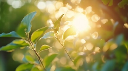 Wall Mural - Sunlight Glimmering Through Fresh Green Leaves Creating a Natural Atmosphere of Serenity : Generative AI