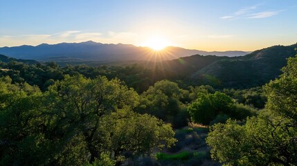 Poster - Breathtaking Sunset Over Mountains and Trees in a Scenic Landscape : Generative AI