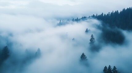 Poster - Mysterious misty forest view showcasing trees enveloped in fog for a serene atmosphere : Generative AI