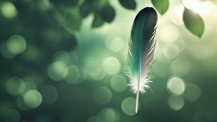 Poster - Delicate feather suspended among lush green leaves with a soft, dreamy background on a bright day