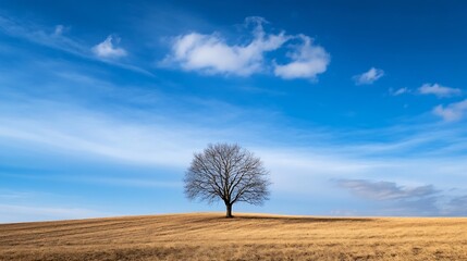 Poster - Solitary tree on a hill under a vast blue sky with clouds during daytime : Generative AI