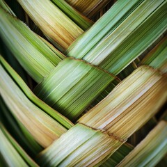 Poster - Intricate Weaving: A close-up of interwoven green and brown palm leaves creating a textured, natural pattern