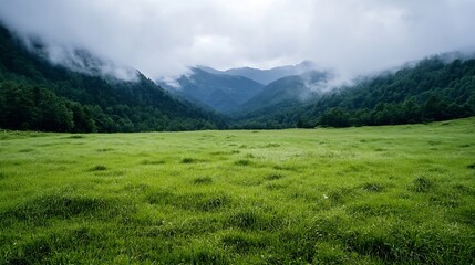 Poster - Wide Open Green Meadow Surrounded by Mountains and Clouds : Generative AI