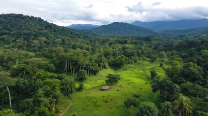 Poster - Aerial View of Lush Green Tropical Rainforest with Mountains in Background Under Cloudy Sky : Generative AI