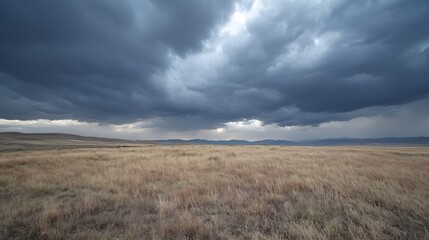 Poster - Vast open field under an overcast sky filled with dark clouds promising rain creating a moody atmosphere : Generative AI
