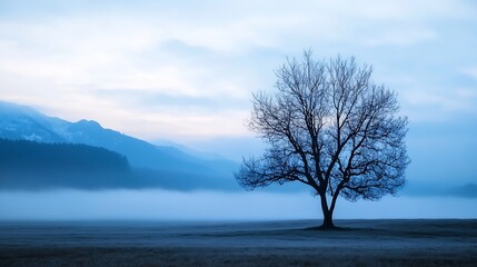 Poster - Serene winter landscape with a solitary tree in the misty foggy mountains during dawn : Generative AI
