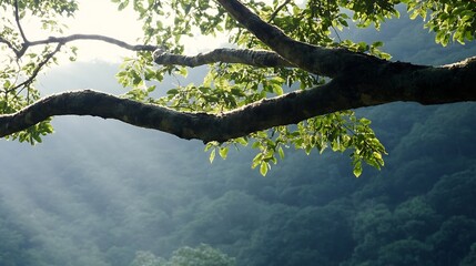 Fototapete - Sunlight Streaming Through a Leafy Tree Branch in a Serene Mountain Landscape : Generative AI