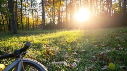 Poster - Serene Autumn Morning with Bicycle and Sun Rising in Forest Clearing : Generative AI