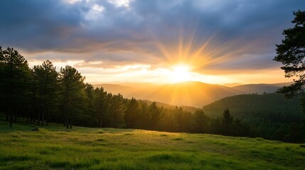 Poster - Breathtaking Sunset Over Rolling Hills Surrounded by Lush Green Pine Trees : Generative AI