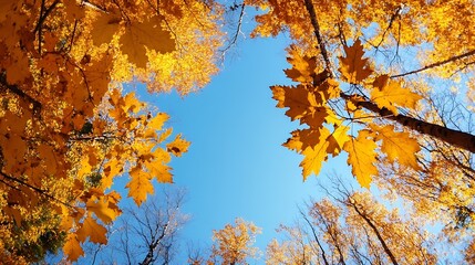 Aufkleber - Vibrant Fall Foliage Framing a Clear Blue Sky Experience Nature in Autumn : Generative AI