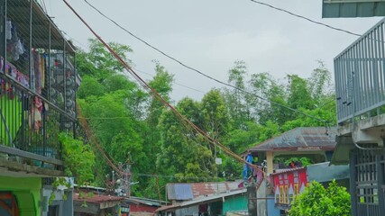 Wall Mural - Village with simple houses, electrical cables and lush trees on a breezy day with a misty sky