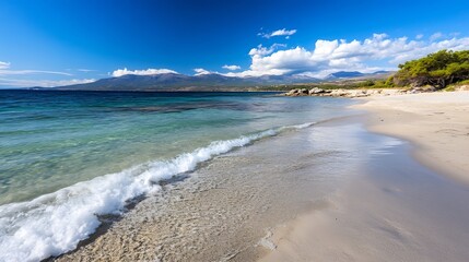 Canvas Print - Stunning Tropical Beach with Crystal Clear Waters and Gentle Waves Under a Bright Blue Sky : Generative AI