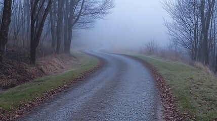 Poster - Winding Gravel Road Surrounded by Trees in a Mysterious Foggy Landscape : Generative AI