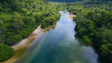 Canvas Print - Serene Aerial View of a Peaceful River Flowing Through Lush Tropical Forest Landscape : Generative AI