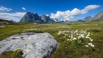 Canvas Print - Breathtaking Mountain Landscape with Beautiful Wildflowers Under a Clear Blue Sky : Generative AI