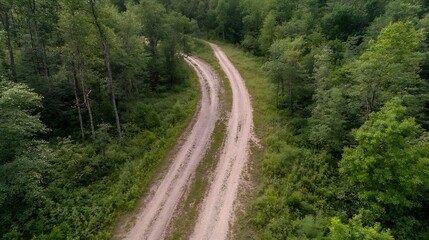 Poster - Aerial view of winding dirt road surrounded by lush green forest in a summer landscape : Generative AI