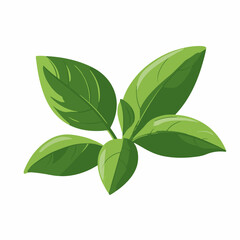 A Simple icon flat 2D icon basil isolated on a transparent background, vector, animation design, simple flat 2D icon, minimalist design and modern illustration