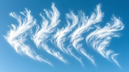 Poster - A group of white feathers artfully arranged on a textured surface creating a soft and delicate aesthetic