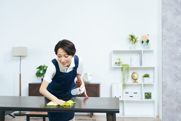 Aufkleber - 掃除、清掃、ハウスクリーニング、家事代行、主婦、女性、日本人、サービス、スタッフ、ハウスキーピング、ハウスキーパー、民泊、テーブル、拭く、布巾、ダスター、スプレー、除菌、殺菌、清潔、笑顔、ミドルエイジ、30代、40代、部屋、インテリア、家具、室内、店員、カフェ、エプロン、サポート、中年、仕事、アルバイト、パート、レストラン、エタノール、家政婦、メイド、家事、便利屋、清掃員、リビングルーム、住宅、家