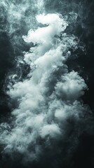 Poster - Swirling plumes of gray smoke rise gracefully, creating a captivating display of texture and movement. This ethereal phenomenon evokes a sense of mystery and intrigue in the dim light