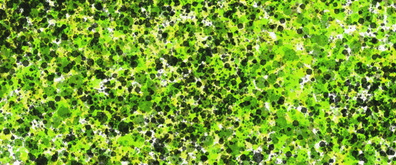 Aufkleber - Abstract Pattern of Bright Green Dots and Textures for Background or Design Use in Nature Themes and Art Projects grainy noise texture banner header poster wallpaper backdrop design with copy space