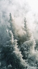 Poster - Frost-covered trees rise majestically amidst a thick blanket of swirling mist, creating a mystical atmosphere during the early morning hours. Nature's beauty captivates with shimmering frost