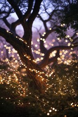 Poster - Twinkling fairy lights draping trees create a magical atmosphere in a tranquil woodland at dusk