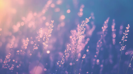 Poster - Dreamlike nature scene with soft focus bokeh for tranquil background design