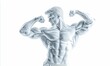 © FrameShift - White Sculpted Male Bodybuilder Flexing Muscles