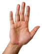© Rawpixel.com - PNG Hand hand finger