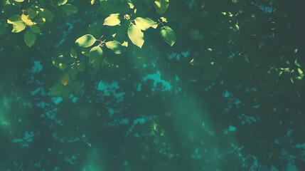 Leinwandbilder - Serene nature background with sunlight and leaves texture