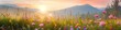 © arabel0305 - Panoramic view of a beautiful meadow with wildflowers in the mountains at sunset. Summer landscape with white daisies and grass, in the style of a banner format