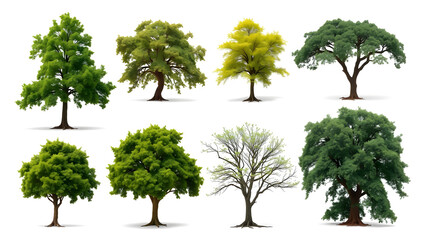 Poster - a collection of various tree illustrations, each displaying a different shape and foliage style. The trees are vibrant and well-detailed, suitable for diverse design applications. 